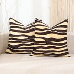 CARRIE HOME Zebra Decor Animal Print Zebra Pillow Covers Soft Velvet Throw Pillows 18x18 Set of 2 Modern Farmhouse Home Decor for Bedroom Couch Sofa (No Pillow Insert)