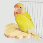 Wood Bird Perch Stand for Cage, Natural Wooden Parrot Platform Bird Perch Bird Toy for Canary Parakeet Cockatiel Parrot Budgie Sparrow