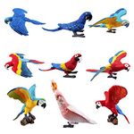 TOYMANY 9PCS Realistic Parrot Birds Figurines, 2-4" Plastic Macaw Animals Figures Set Includes Cockatoo,Scarlet Macaw, Educational Toy Cake Toppers Christmas Birthday Gift for Kids Toddlers