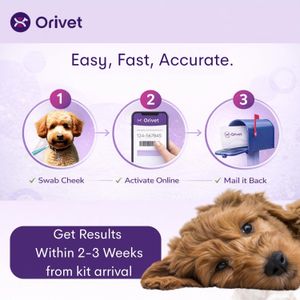 ORIVET GenoPet Plus Dog DNA Test – Breed & Health Screening Kit