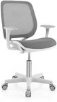 Costzon Kids Desk Chair, Height Adjustable Children Study Computer Chair with Armrests, Sit-Brake Casters, Swivel Mesh Task Chair for Boys Girls Teens Students, Kids Chair for Home, Office (Gray)