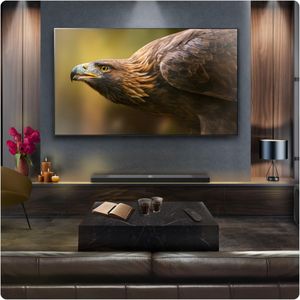 LG US95TR Dolby Atmos Soundbar – Immersive Home Audio