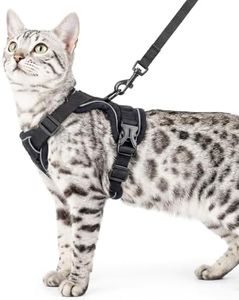 pangdi Cat Harness and Leash Set Escape Proof Tactical Extra Large Kitten Harness Emotional Support Cat Vest, Black, XL