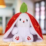 DIKANG Strawberry Bunny Soft Toys, Rabbit Soft Toys with Zipper, Strawberry Rabbit Soft Toys for Girls, Reversible Bunny Soft Toy, Cute Plushies Gift for Girls & Kids (30CM, Red Bunny)