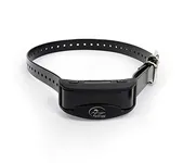 SportDOG Brand SBC-R-E Nobark Collar