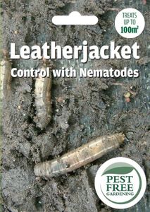 Pest Free 