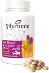 Bio PetActive Liver and Kidney Health Milk Thistle Supplement for Cats & Dogs | Removes Toxins - Support Liver Regeneration and Boost Immune System with Silycumin & Turmeric, 100 Tabs (Small Breeds)