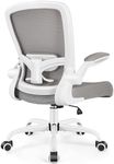 FelixKing Ergonomic Office Chair, A