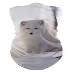 Cute Arctic Fox Bandana, Magic Scar