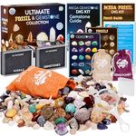 Science Kidz Ultimate Rock Collection Kit - Over 200 Crystals, Gemstones, Fossils, Minerals For Kids - Earth Science Gem Stones Kit - Geology Nature Gifts For Boys & Girls - Plus BONUS Amazing TV Rock