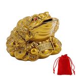 WYSUMMER Lucky Frog Coin, Feng Shui Toad Coin Money Lucky Frog Chinese Charm for Prosperity Home Decoration Gift (6cm x 6cmx5cm)