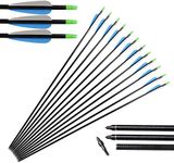 Huntingdoor 12Pcs 31" Fiberglass Targeting Arrows Archery Hunting Arrow with Replaceable Arrowhead for Recurve Bow Compound Bow Longbow