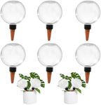 6 Pack Self Watering Globes for Ind