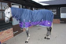 Rhinegold Aspen Heavyweight Winter Combo Full Neck Turnout Rug Navy/Purple 6'9"