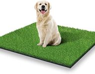 Outdoor Rug For Dogs