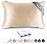 RENESSY Organic Silk Pillowcase - 100% Organic Mulberry Silk, 22 Momme, Naturally Hypoallergenic, Promotes Hair and Skin Health, 1 Piece (Standard Size 50x75 cm, Champagne)