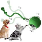 LuGirlre Interactive Cat Rolling Ball Dog Ball,Self Rolling cat Ball Interactive Cat Toys,interactive dog ball self moving Smart Automatic Rolling Pet Ball for Large Small Dogs Motion Activated