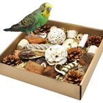 HOSUKU Natural Bird Foraging & Parrot Shredding Toys Box - Interactive Chewing and Foraging Toys for Parakeets, Cockatiels, Conures, Love Birds, and Small to Medium Birds