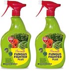 Provanto - Fungus Fighter Plus - Eradicates, Controls & Protects for Up To 3 Weeks - Garden Care, Plant Protection, Ready to Use Fungicide, Use Indoor & Outdoor on Flowers, Fruit & Veg, Shrubs - 1L