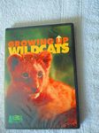 Growing Up Wild Cats [DVD]