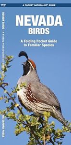 Nevada Birds: A Folding Pocket Guide to Familiar Species (Wildlife and Nature Identification)