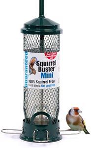 Squirrel-p