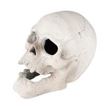 Stanbroil Fire Pits 9" Imitated Human Skull Decoration for Indoors Outdoors Campfire, Fireplace, Halloween Party Decor, 1 Pack - Patent Pending White