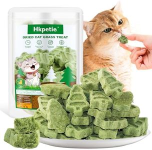 Cat Grass 