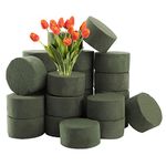 ZOOFOX 24 PCS Floral Foam, 3.15" Round Dry and Wet Floral Foam, Green Styrofoam Bricks for Flowers Arrangement, Perfect for Wedding, Holiday, Party Decoration (Green)