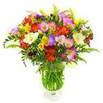 30 Sweetly Scented Guernsey Freesia Bouquet With 8-Day Freshness Guarantee, perfect for Birthdays and Anniversaries Mixed