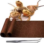 REP BUDDY 2 Pack Reptile Carpet Desert Reptile Mat & Reversible Substrate, Terrarium Liner Bedding, for Lizard,Chameleon,Gecko,Snake,Ceratophrys with Tweezers Feeding Tong (10 Gallon(21.5x11.5in))