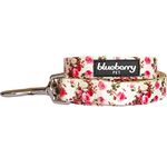 Blueberry Pet New Durable Spring Scent Inspired Pink Rose Print Ivory Dog Leash 5 ft x 3/4", Medium, Leashes for Dogs