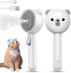 Cat Steam Brush, Brushes for Indoor