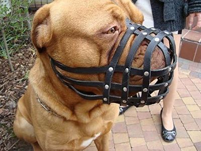 L&J Pets Uk Light leather Dog Muzzle for Dogue de Bordeaux and Bullmastiff and Other