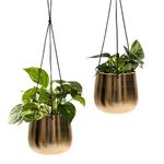 Olly & Rose Gold Hanging Plant Pots Set 2 (Large)