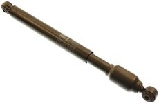 Bilstein 18-140651 Monotube Steering Damper, Front, 22mm