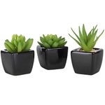 Mygift Of The Black Pots