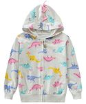 EULLA Toddler Kids Girl Zip Jumper Dinosaur Pattern Hooded Sweatshirt Cute Kids Coat Warm Clothes 2-3 Years