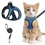 Cat Harness and Leash for Walking Escape Proof, Adjustable Kitten Vest Harness Reflective Soft Mesh Puppy Harness for Outdoor, Comfort Fit, Easy to Control (Blue, XXS)