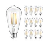 12 Pack Dimmable LED Edison Bulbs 4