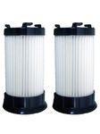 (2) Eureka Type Dcf4-Dcf18 Upright Vacuum Cleaner Hepa Pleated Washable Filter W/activated Charcoal, Whirlwind, Mighty Mite, Maxima, Boss Power Plus, Pet Pal, Lightforce 300, Lightspeed 100, General Electric, Ge, 63073 4700 5500