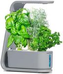 AeroGarden Sprout with Gourmet Herb