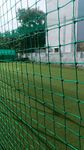 AMZ SPORTS NETS Cricket Practice Net Green 15x50 Fifteen by Fifty feet one Piece