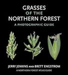 Grasses of the Northern Forest: A P
