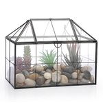 SUMTree Black Glass Plant Terrarium with Square Grid, Garden Moss Container with Swing Lid, Airplant Display Box for Succulent Plants, Glass Rectangle Indoor Air Plant Container, Black