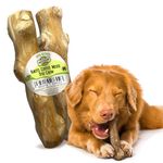 Woodbone Knots Coffee Wood Dog Chew Toy for Medium Dogs - Natural Wood Knots Branch Chewing Stick - Pack of 2 Size M