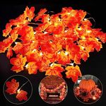 Fall Decor String Lights, Thanksgiving Decorations Fall Maple Leaves String Lights, 23.6FT/40LED USB or Battery Powered Fairy Lights for Autumn Harvest Christmas Decor DIY Home Mantel Fall Decoration