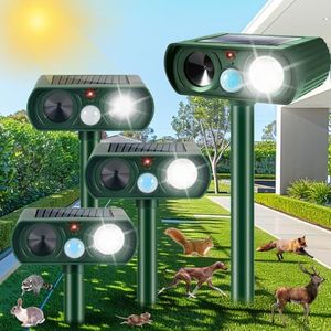 2025 Solar