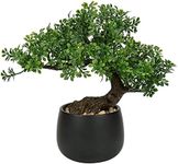 Artificial Bonsai Tree Fake Plants in Ceramic Pots Artificial Japanese Bonsai Decorative Faux Plants House Plant for Home Table Office Desk Bathroom Shelf Bedroom Farmhouse Decoration