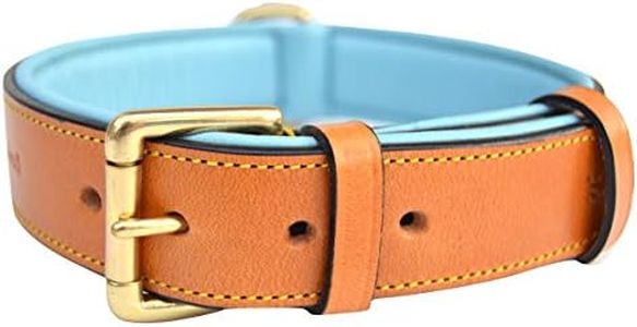 (Large, Tan/Teal) - Soft Touch Collars Luxury Real Leather Padded Dog Collar